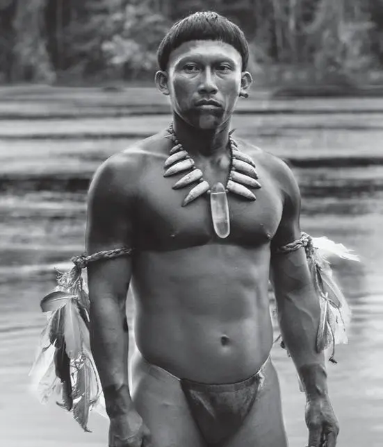 Nilbio Torres (joven Karamakate) - Fotos: http://moviesmug.com