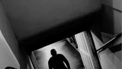 Portada del libro - Fotos: Andrés Rojas.