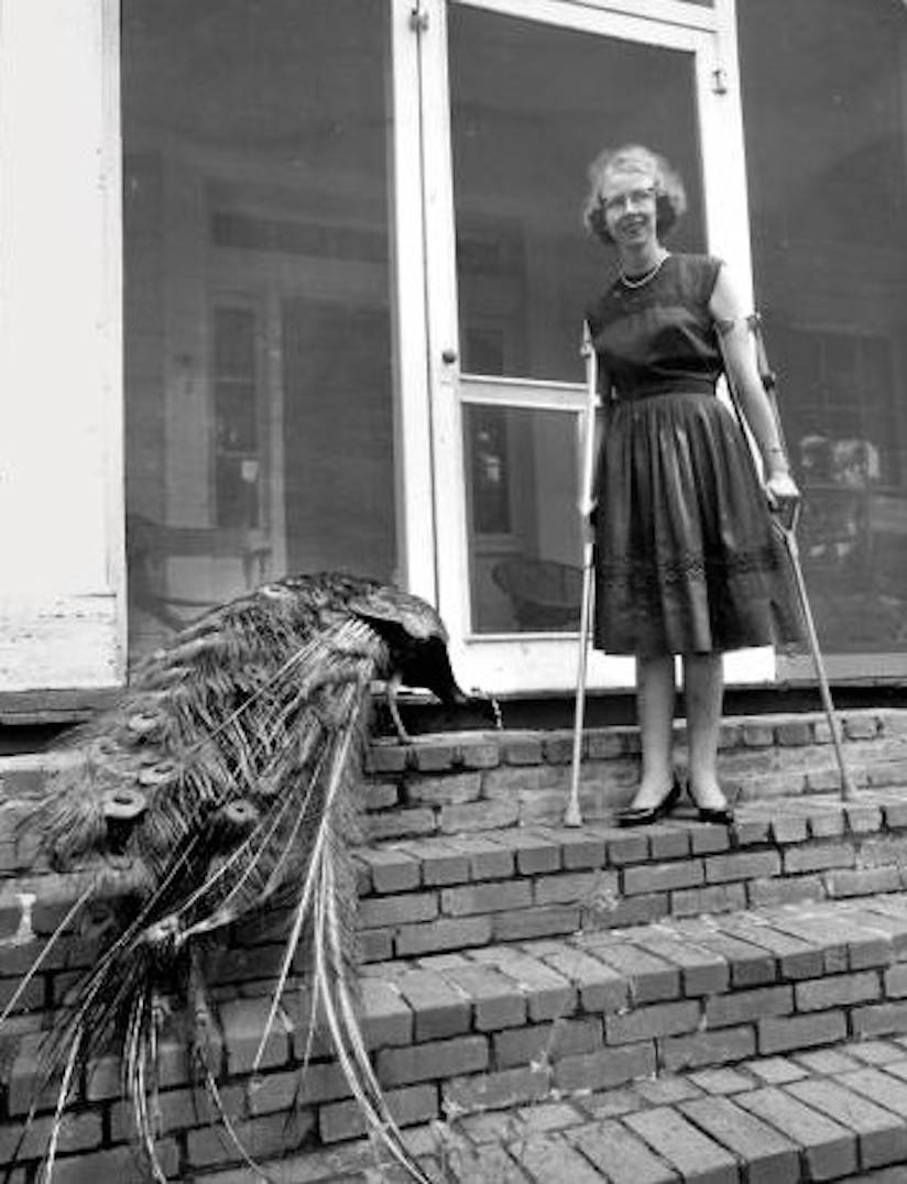Flannery O’Connor, en el exterior de su casa, la granja Andalusia en Milledgeville (Georgia) en 1962. Foto: https://elpais.com/cultura/2016/08/16/babelia/1471344794_406827.html