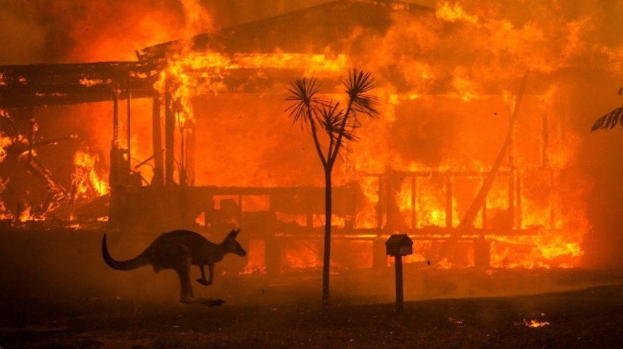 “Los incendios forestales son normales en Australia como parte del ciclo natural, pero, según algunas estimaciones, la escala de los actuales puede ser la peor registrada”. Adam Hodge, un oficial de información regional del Programa de Medio Ambiente de las Naciones Unidas en Bangkok. Foto: https://ecoosfera.com/australia-incendios-forestales-donaciones-ayuda-cambio-climatico
