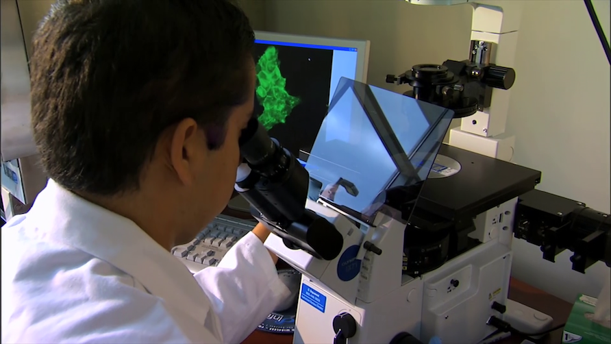 Laboratorios, sede San Fernando