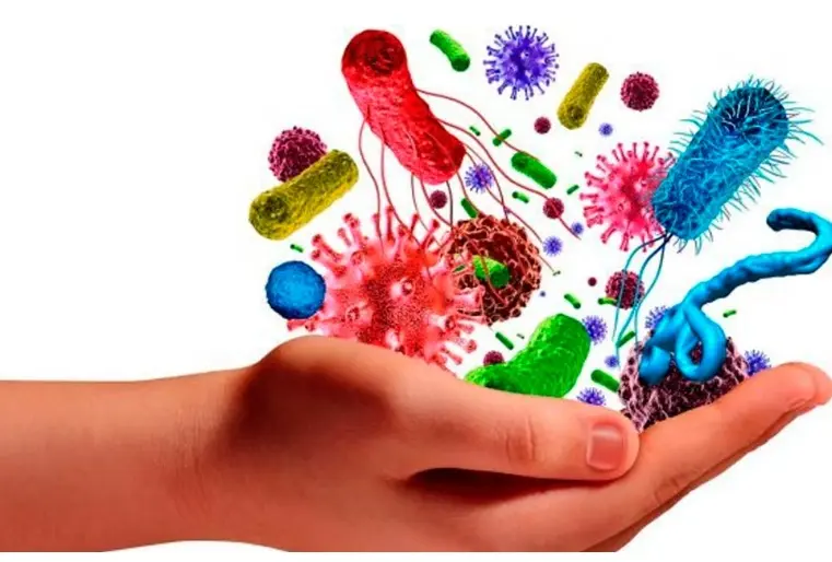 Según el observatorio Cali cómo vamos, durante el año 2022 murieron 1.286 personas por enfermedades infecciosas y parasitarias, y casi 500 personas por diabetes. Foto: diario.mx