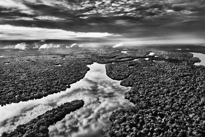 El Amazonas, la mayor selva tropical del mundo mostrada en blanco y negro por Sebastião Salgado. Foto: Sebastião Salgado. 