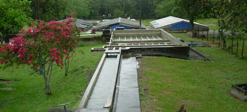 Planta de Tratamiento y filtración en multiples etapas La Sirena - Foto: Cortesía Instituto CINARA.