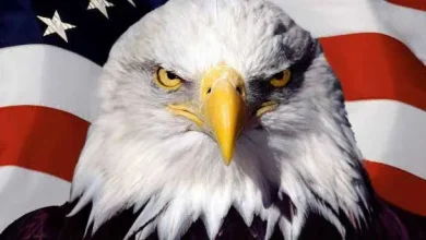 Foto: https://www.forocoches.com