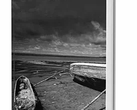 Portada de la novela La perra, escrita por la caleña Pilar Quin- tana. Random House, 2017. Foto: https://www.megustaleer.com.co