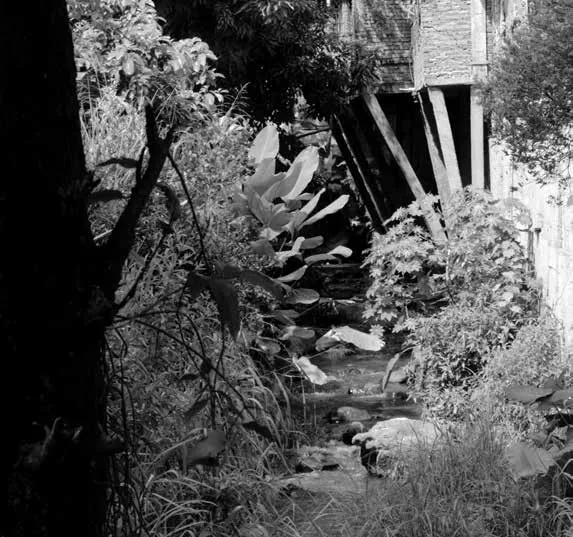 Cauce del río Cañaveralejo, en el que las viviendas desaguan sus desechos.