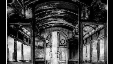 Portada del libro Toño Ciruelo, de Evelio José Rosero. Tusquets, 2017 - Foto: libropolis.com.co