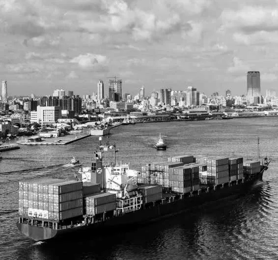 Foto: https://alianzapacifico.net