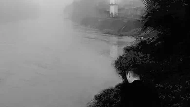 Portada de la novela En tierra extraña, de Edgard Collazos.