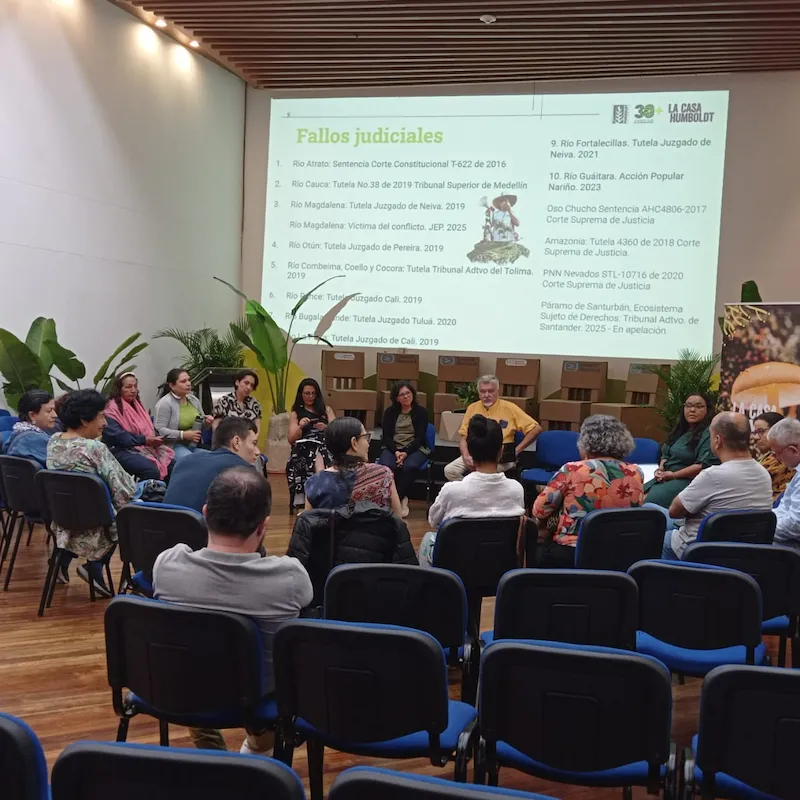 Foto: Alejandro Alzate.