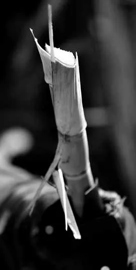 Caña Cortada - Foto: submarinismos.wordpress.com