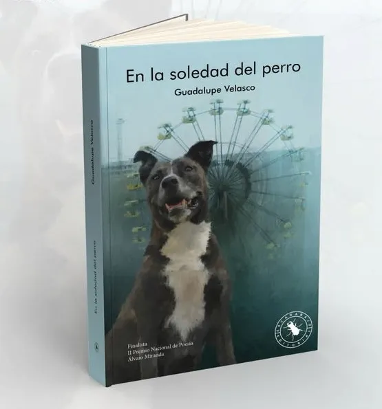 Foto: Tomada de Instagram.