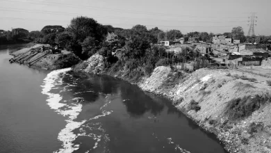 Proyecto Jarillón del Río Cauca - Foto: http://www.programaacua.org