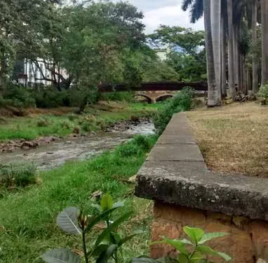 Riveras del Rio Cali – Foto: Luisa Rodríguez