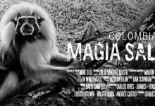 Flyer Magia Salvaje - Foto: http://www.dinero.com/