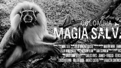 Flyer Magia Salvaje - Foto: http://www.dinero.com/