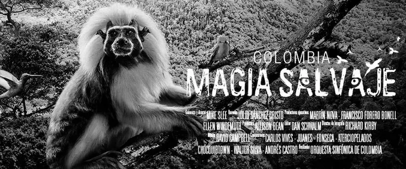 Flyer Magia Salvaje - Foto: http://www.dinero.com/