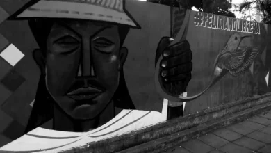 Mural Feliciano Valencia - Foto: Mala Yerba