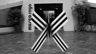 Entrada Museo Rayo en Roldanillo - Foto: Luisa Rodriguez