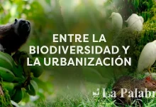 Entre la biodiversidad y la urbanización
