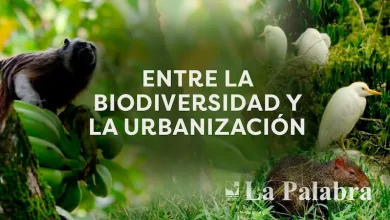 Entre la biodiversidad y la urbanización