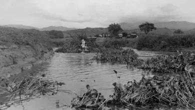 Reserva Natural Laguna de Sonso (1991) - Foto: https://bibliotecadigital. icesi.edu.co