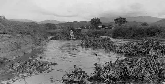 Reserva Natural Laguna de Sonso (1991) - Foto: https://bibliotecadigital. icesi.edu.co