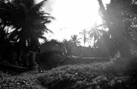 Palofitos de Buenaventura - Foto: Fernanda Córdoba