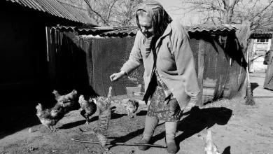 María Semenyuk jugando con un gato cerca de su casa en el pueblo desierto de Patryshev, a 25 km de la central nuclear de Chernóbil, Ucrania, en 2011 - Foto: SERGUÉI Dolzhenko – Foto: http://www.agenciasinc.es